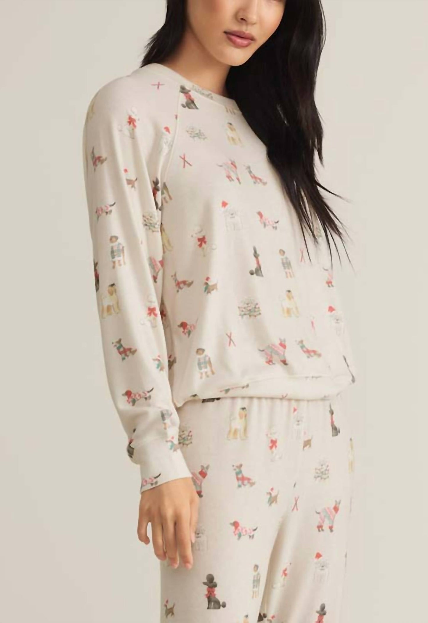 Z Supply - Best Friend Raglan Long Sleeve Top