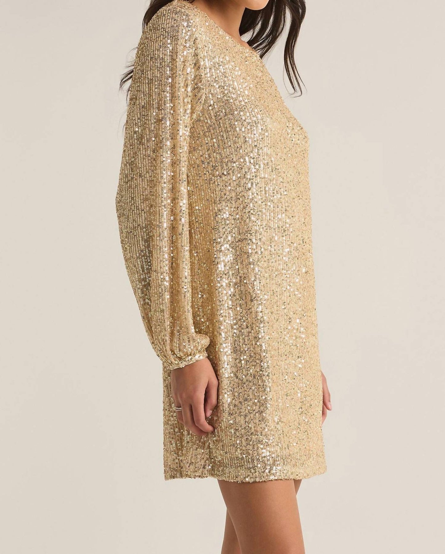 Z Supply - Andromeda Sequin Mini Dress