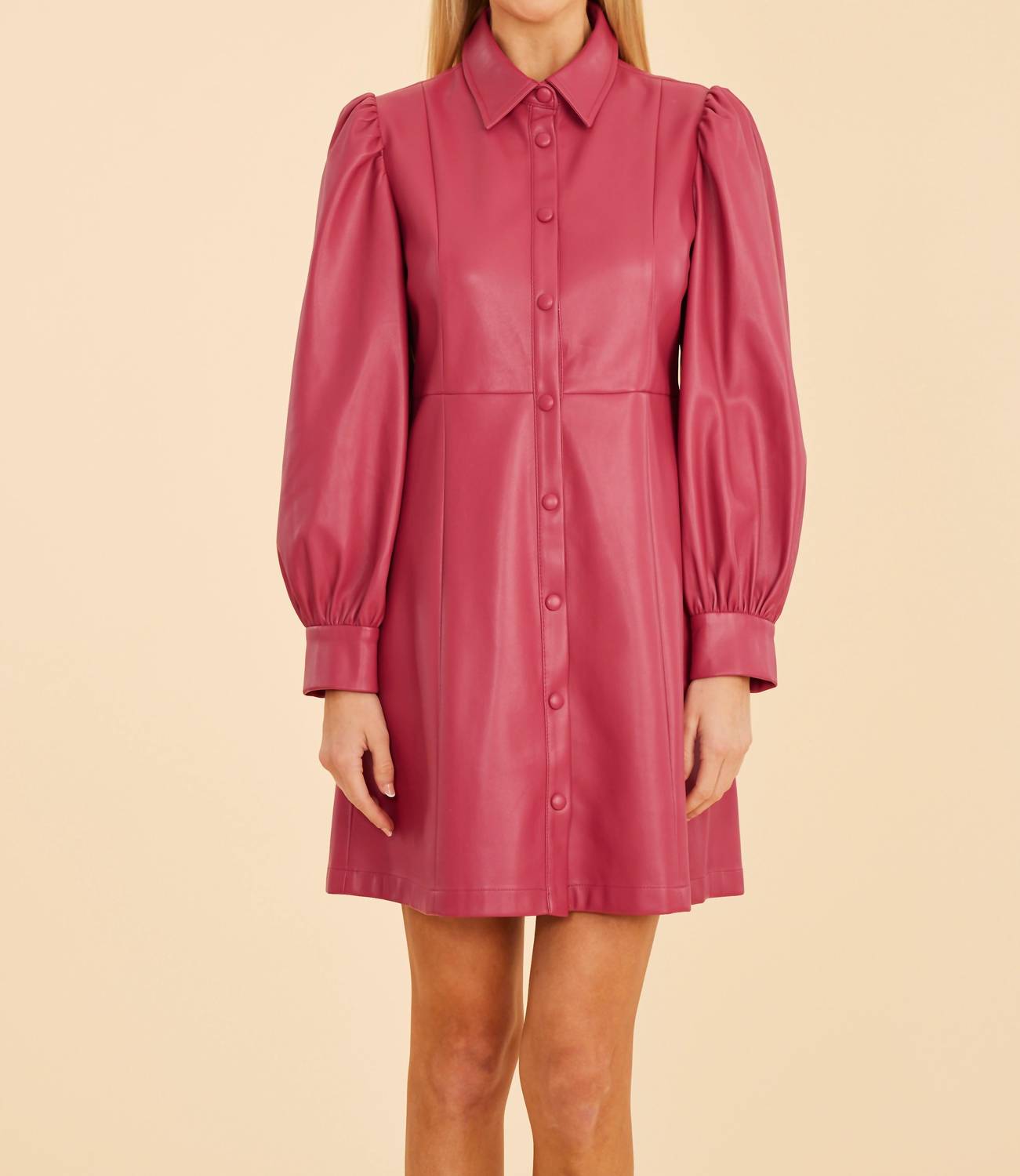 Dolce Cabo - Faux Leather Puff Shoulder Dress