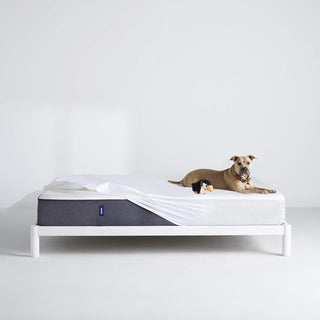 The Casper Water Resistant Mattress Protector