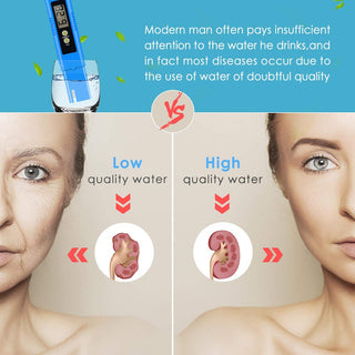 Urnas de cremação para adultos com bolsa de veludo