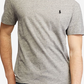 Camiseta Polo Ralph Lauren Masculina Gola V Cinza Tamanho Médio
