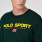 Polo Ralph Lauren Masculino Polo Sport Algodão Suéter Verde Tamanho XX-G