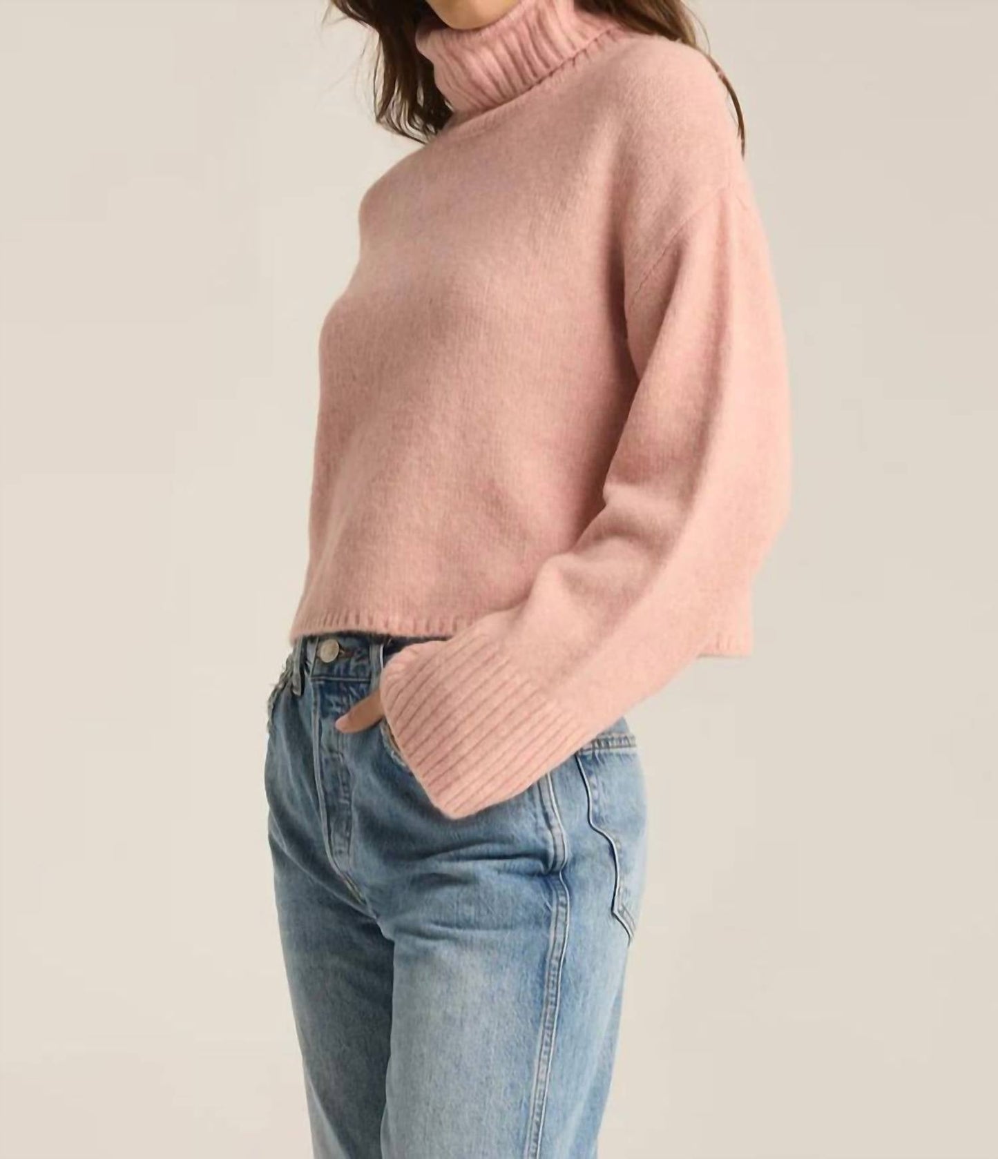 Z Supply - Ursa Turtleneck Sweater