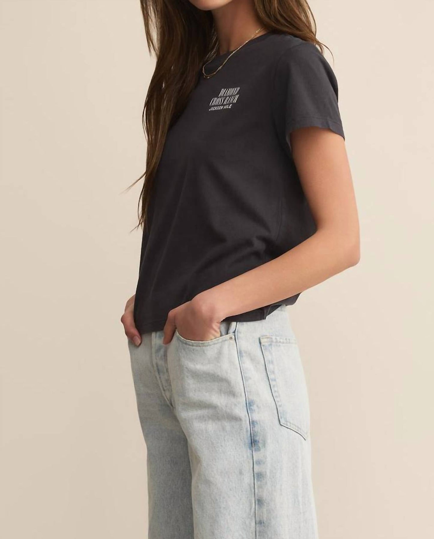 Z Supply - Cool It Tourist Tee