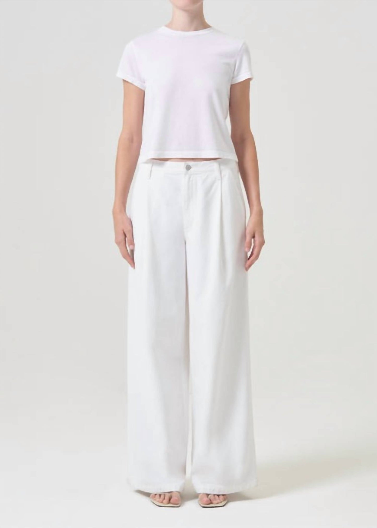 Agolde - Ellis Low-slung Wide Leg Trouser Pants