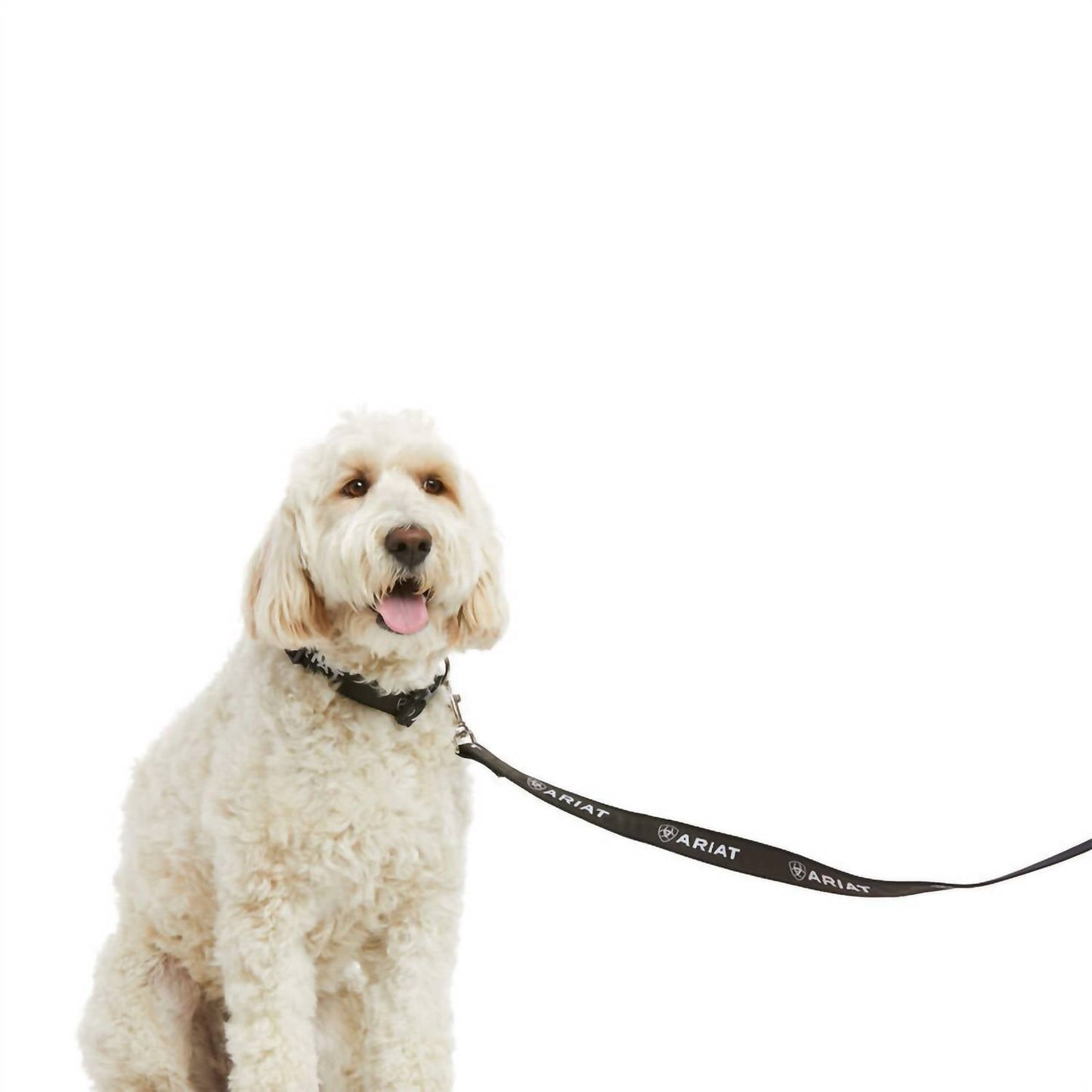 Ariat - Dog Leash