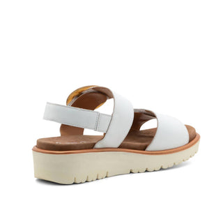 Ara - Women's Bridgeport Wedge Sandal