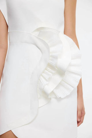 Acler - Webster Mini Dress