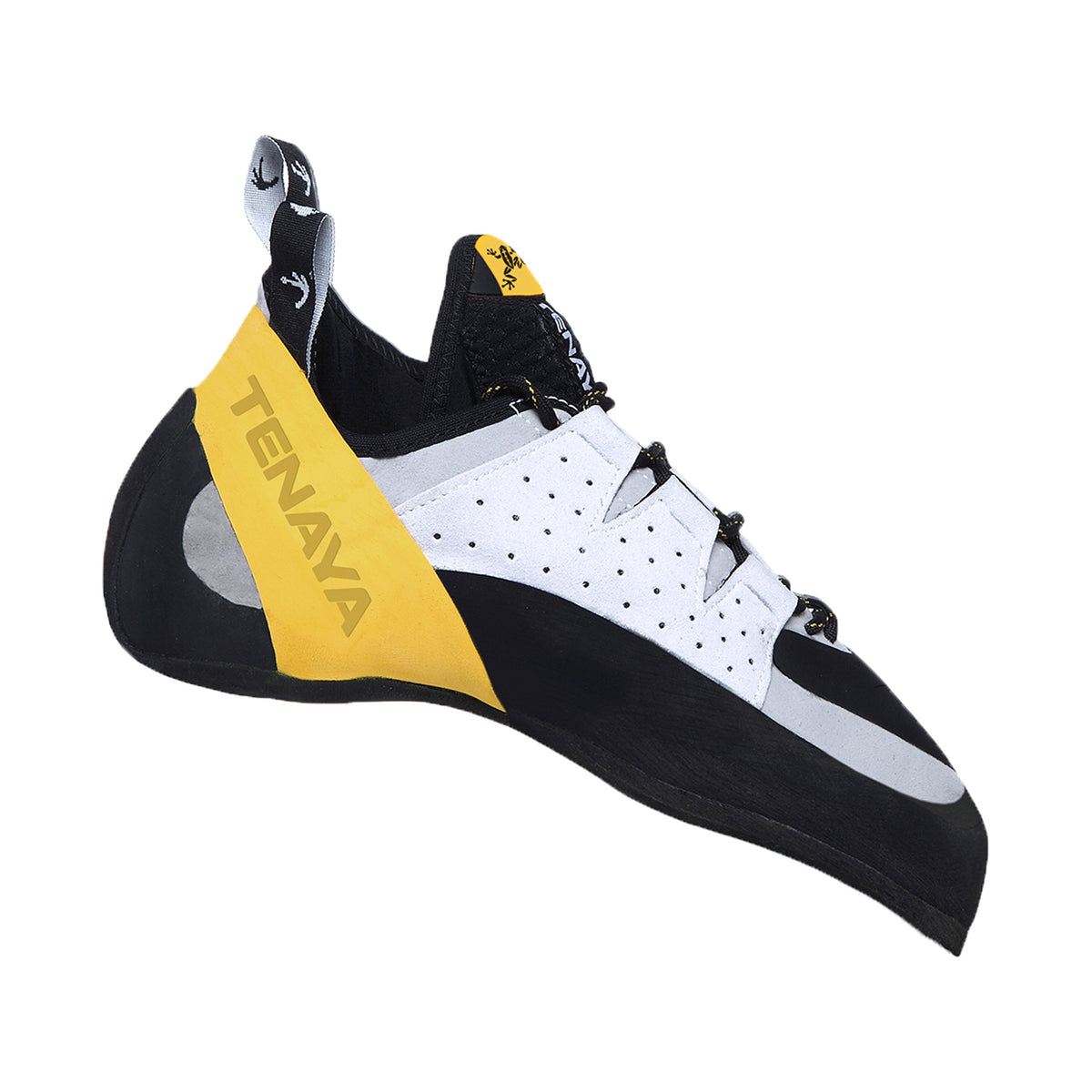 tenaya-tarifa-climbing-shoe