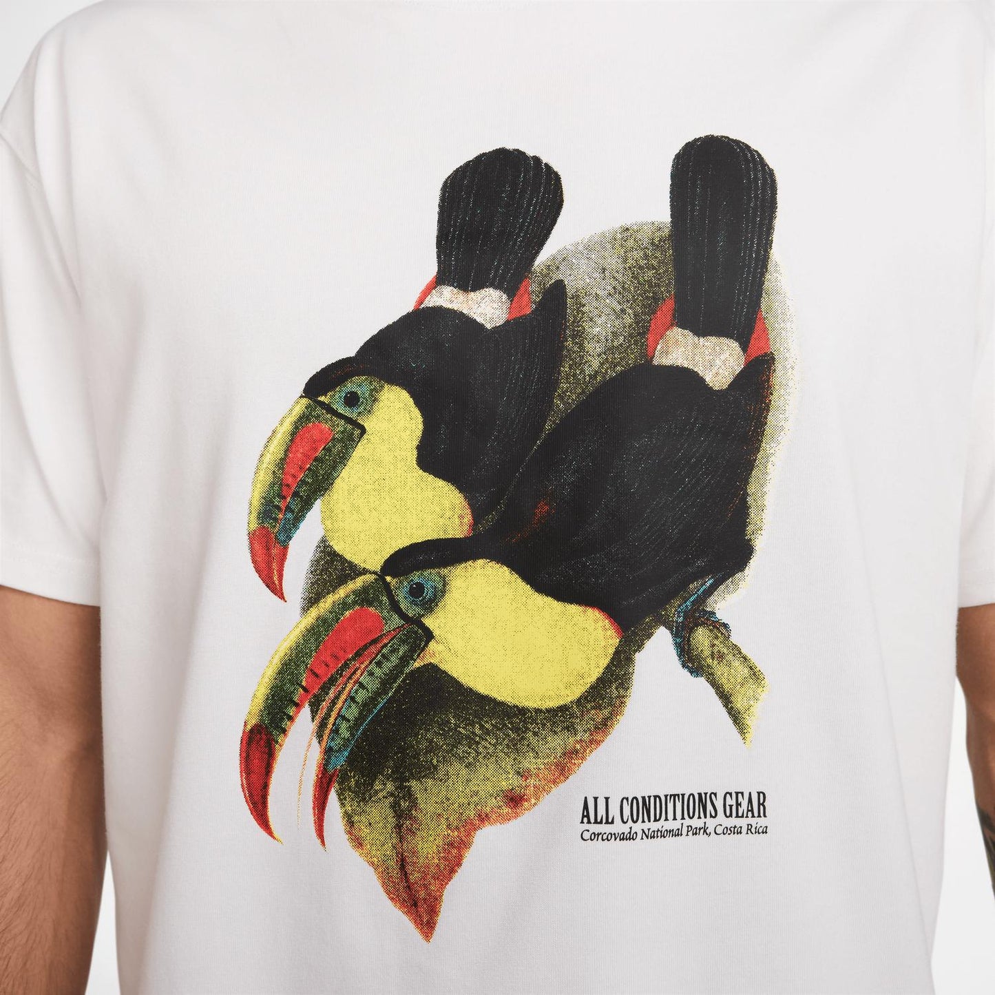 Nike - Men's Acg Toucan Dri Fit Shirt