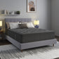 The Restonic Luxury Euro Top Mattress Ensemble
