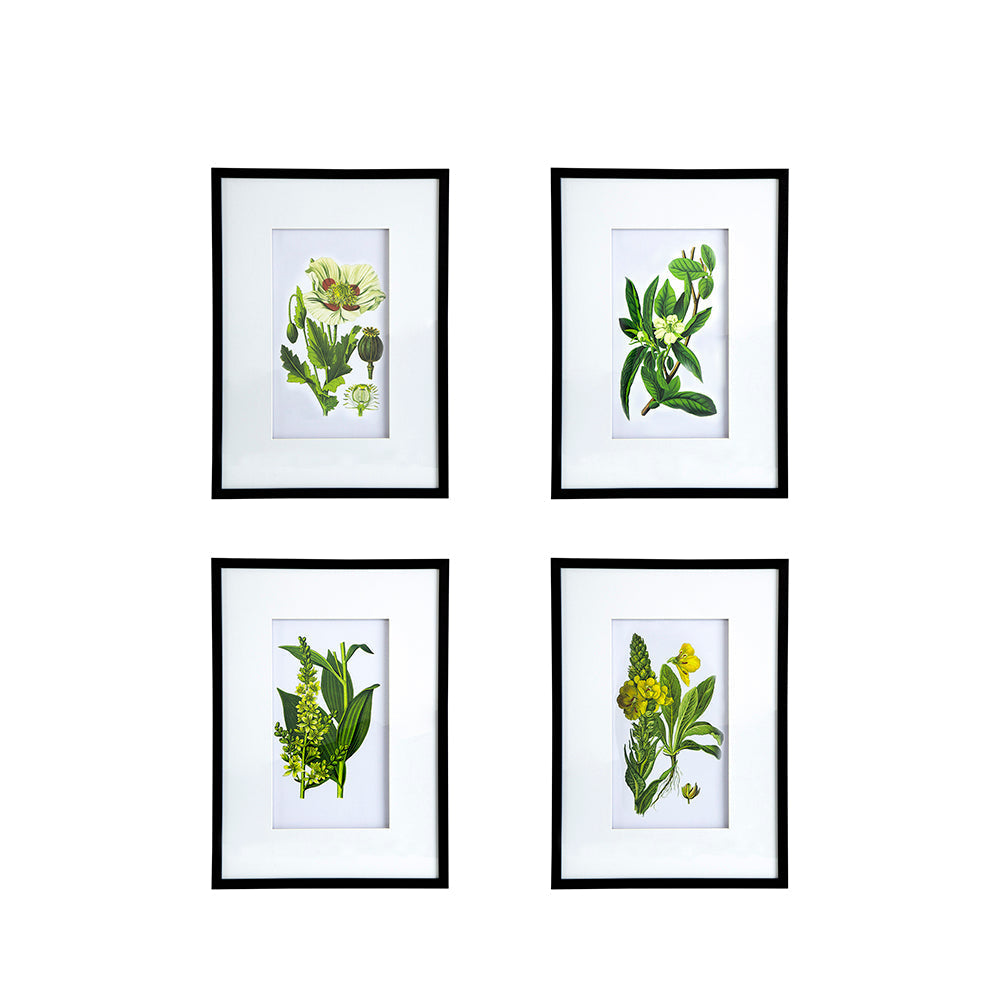 Verdure Elegance™ — Set of 4 Botanical Wall Art Prints