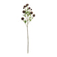 Brown Allium Floral Spray (Set of 6)