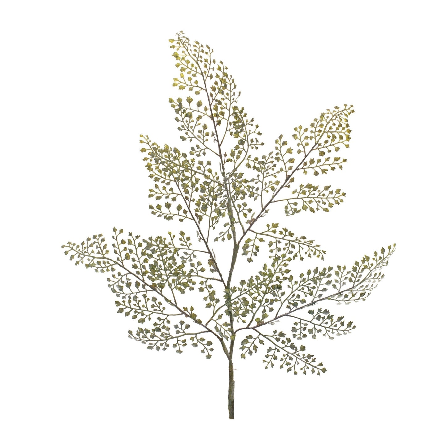 Maiden Hair Fern Foliage Spray (Set of 6)