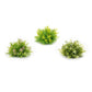 Mini leaf half orb (set of 6)