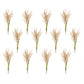 Astilbe stem (set of 12)