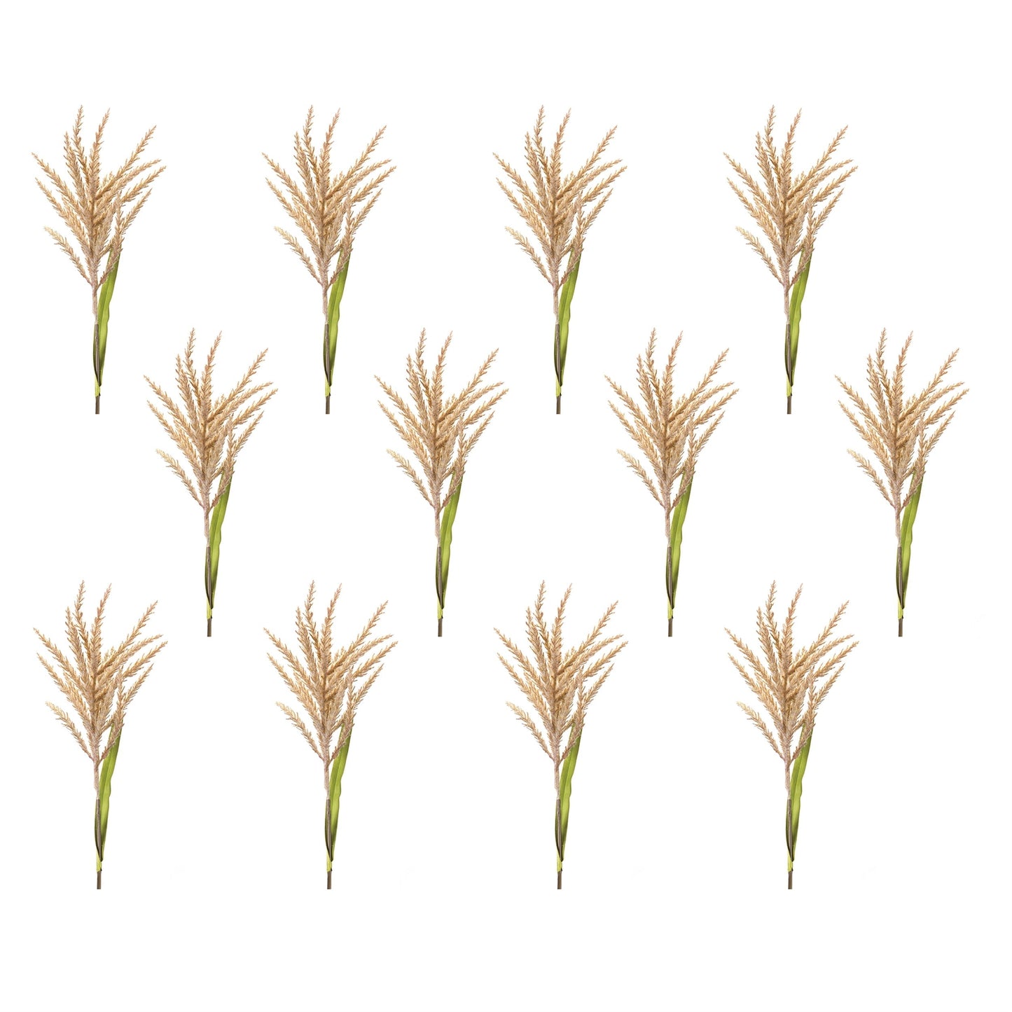 Astilbe stem (set of 12)