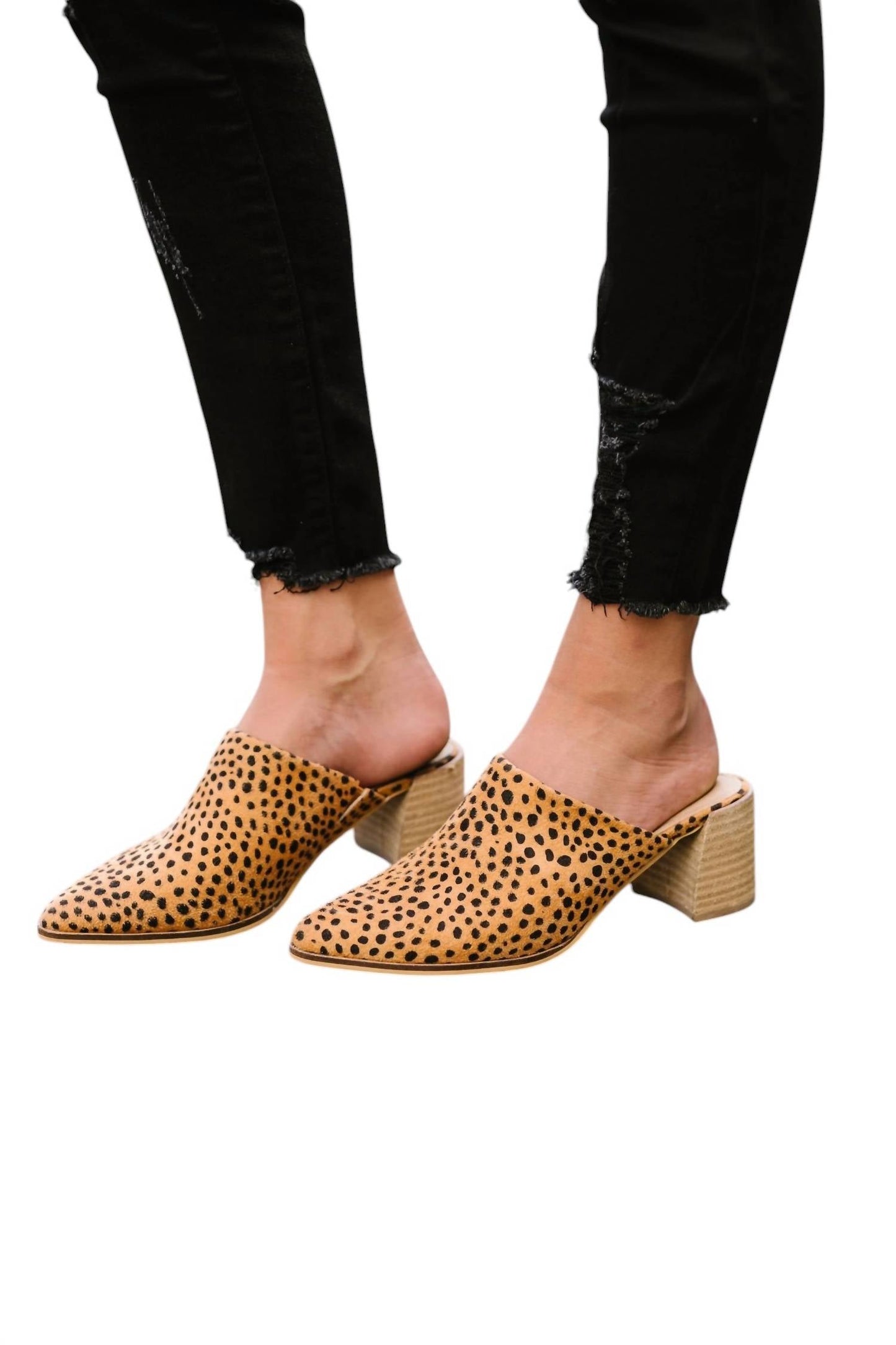 Ccocci - Women's Spotted Mules