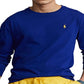 Camiseta Polo Ralph Lauren Masculina Classic Fit Polo Pony Jersey Azul Tamanho XX-G