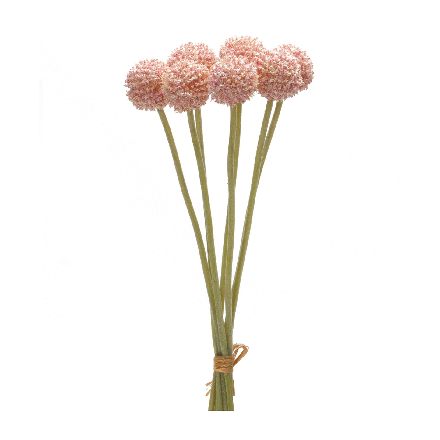 Pink pod bundle (set of 6)