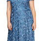 Vestido de festa feminino Alex Evenings com renda roseta e manga curta, corte A, azul, tamanho 14W