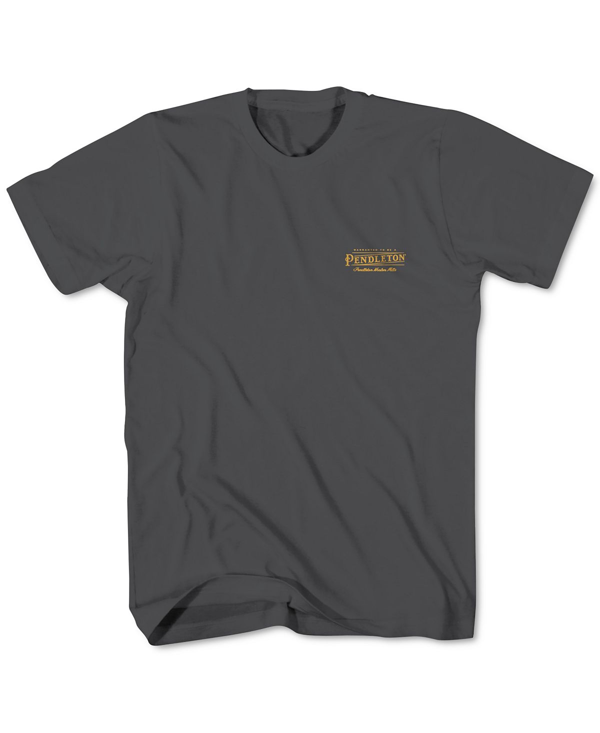Camiseta masculina Pendleton com estampa retrô e logo, cinza, tamanho pequeno