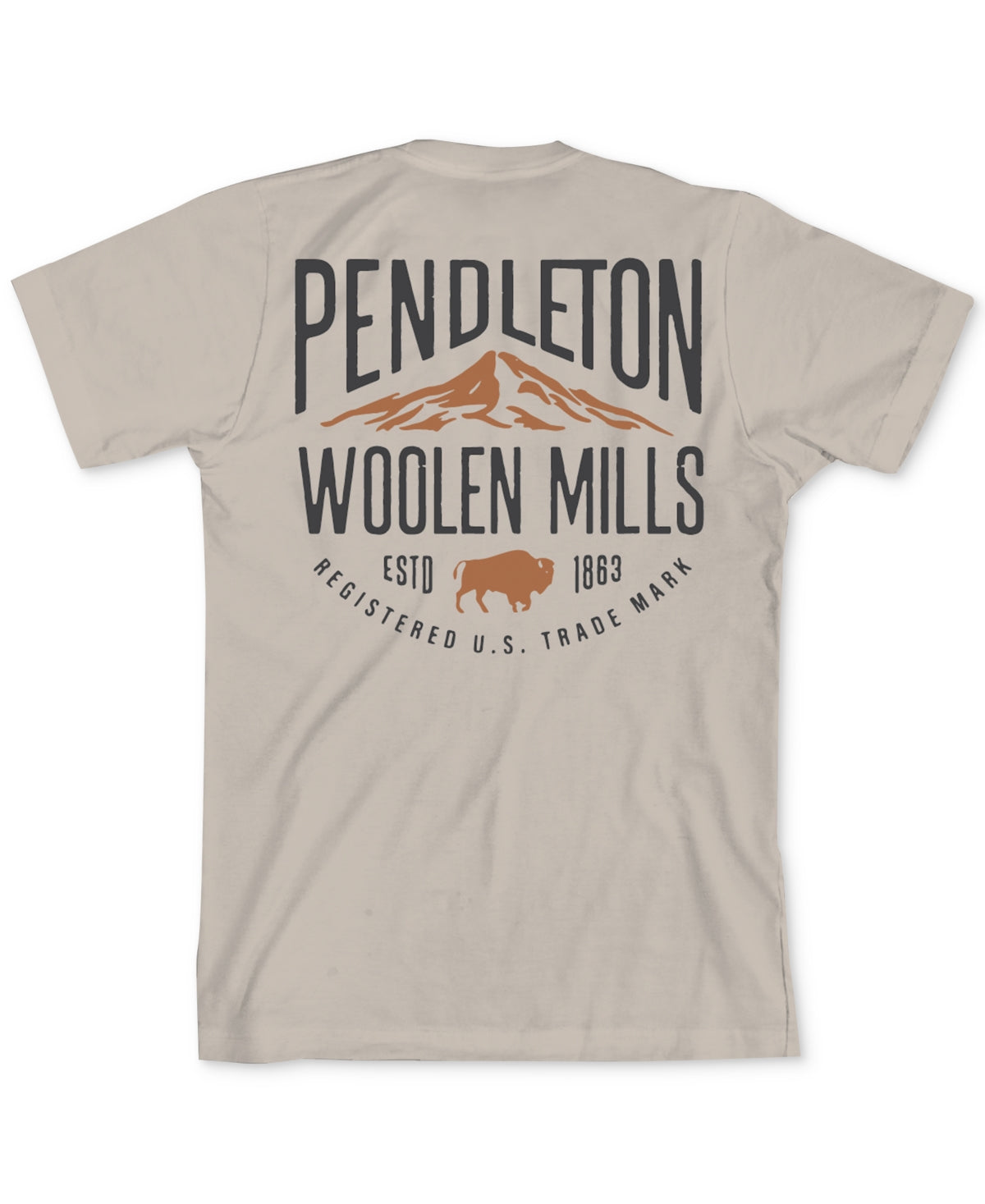 Camiseta masculina Pendleton com estampa de logotipo grande, marrom, tamanho extragrande
