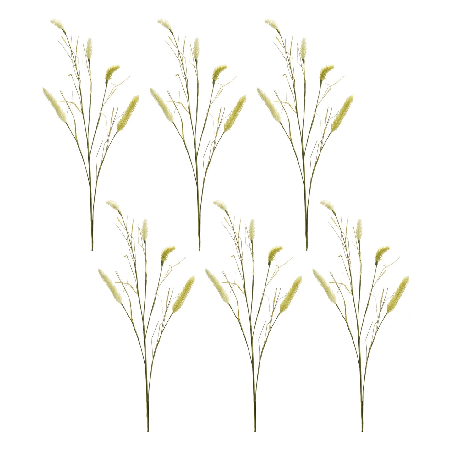 Foxtail Spray (Set of 6)