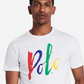 Camiseta Polo Ralph Lauren Masculina Grande com Logo e Estampa Polo, Branca, Tamanho Pequeno