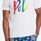 Camiseta Polo Ralph Lauren Masculina Grande com Logo e Estampa Polo, Branca, Tamanho Pequeno
