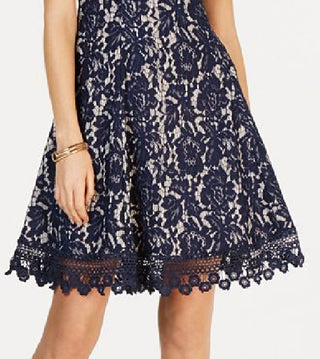 Donna Ricco Women's Bonded Floral Lace Sleeveless Fit & Flare Dress Black Size 8