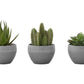 6" Tall Artificial Succulent Plant Set of 3