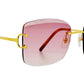 Cartier - Piccadilly Non Polarized Sunglasses Ct0007rs - 001