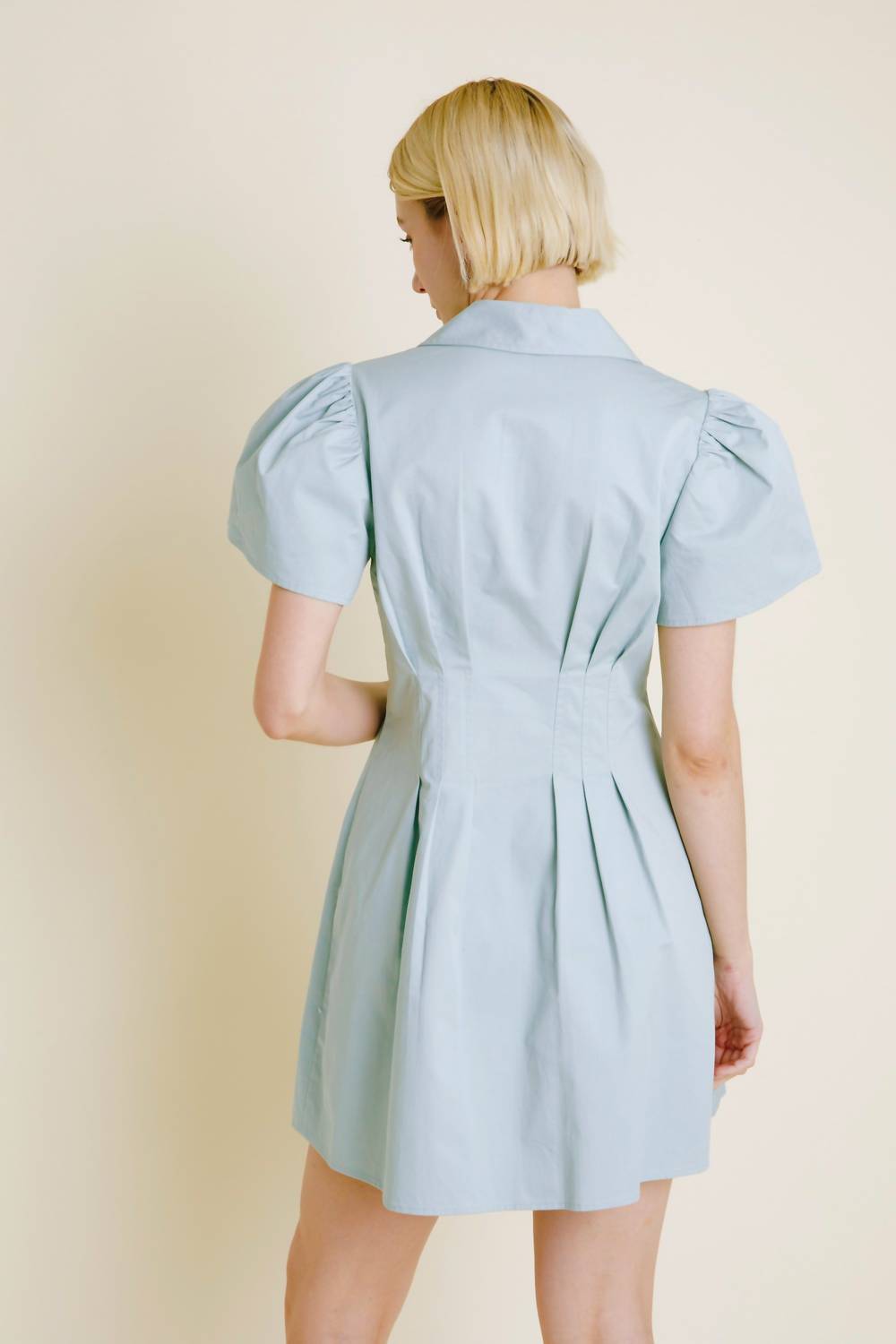 Aureum - Robin Pleated Mini Dress