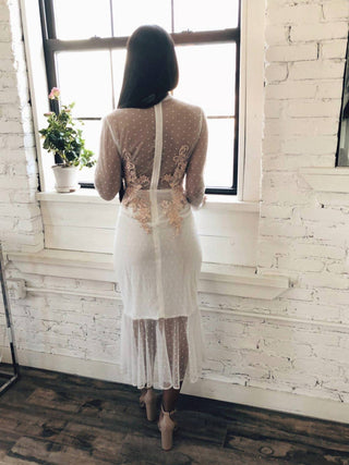 Ariti Kaziris - Long Sleeve Sheer Lace Dress
