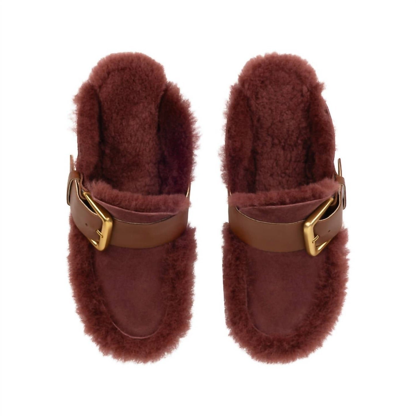 4Ccccees - Women's Plia Amber Clogs