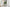 44" Tall, Artificial Plant, Bird Of Paradise Tree, Indoor, Faux, Fake, Floor, Greenery, Potted, Decorative - Green / Black
