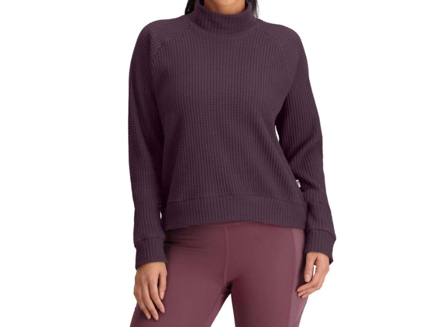 The North Face - Mock Neck Chabot Pullover
