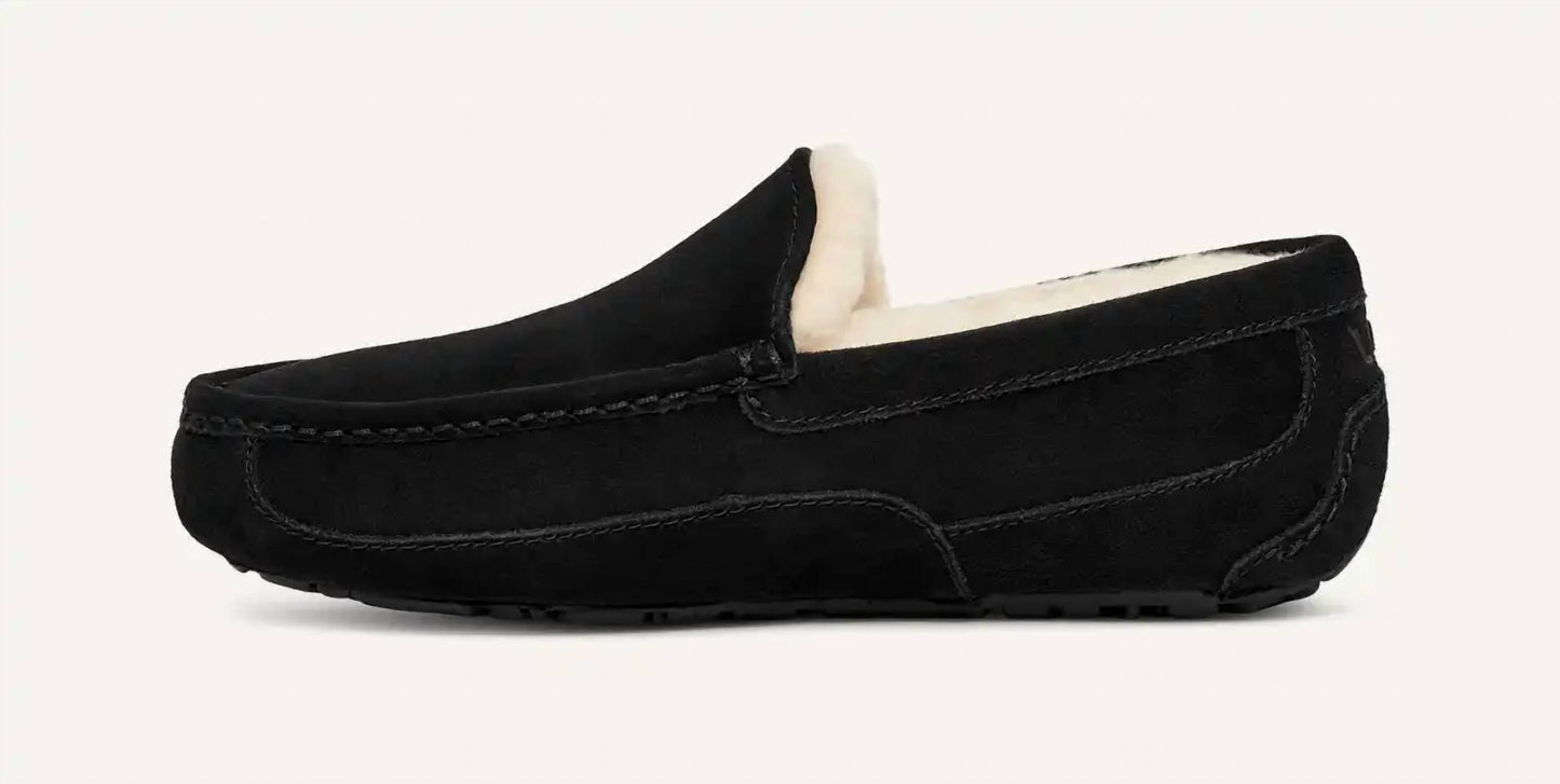 Ugg - Men Ascot Slipper