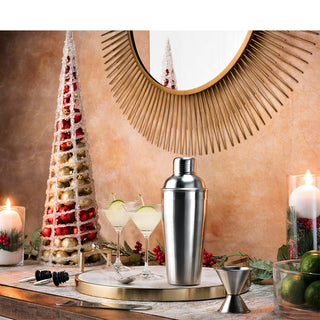 Conjunto de coqueteleira de aço inoxidável com 7 peças 