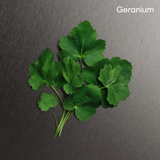 Calvin Klein Eternity All Over Body Spray For Men 5 Oz