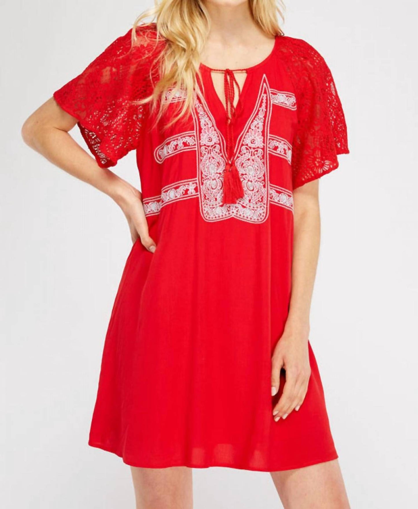 Entro - Lace & Embroidered Mini Dress