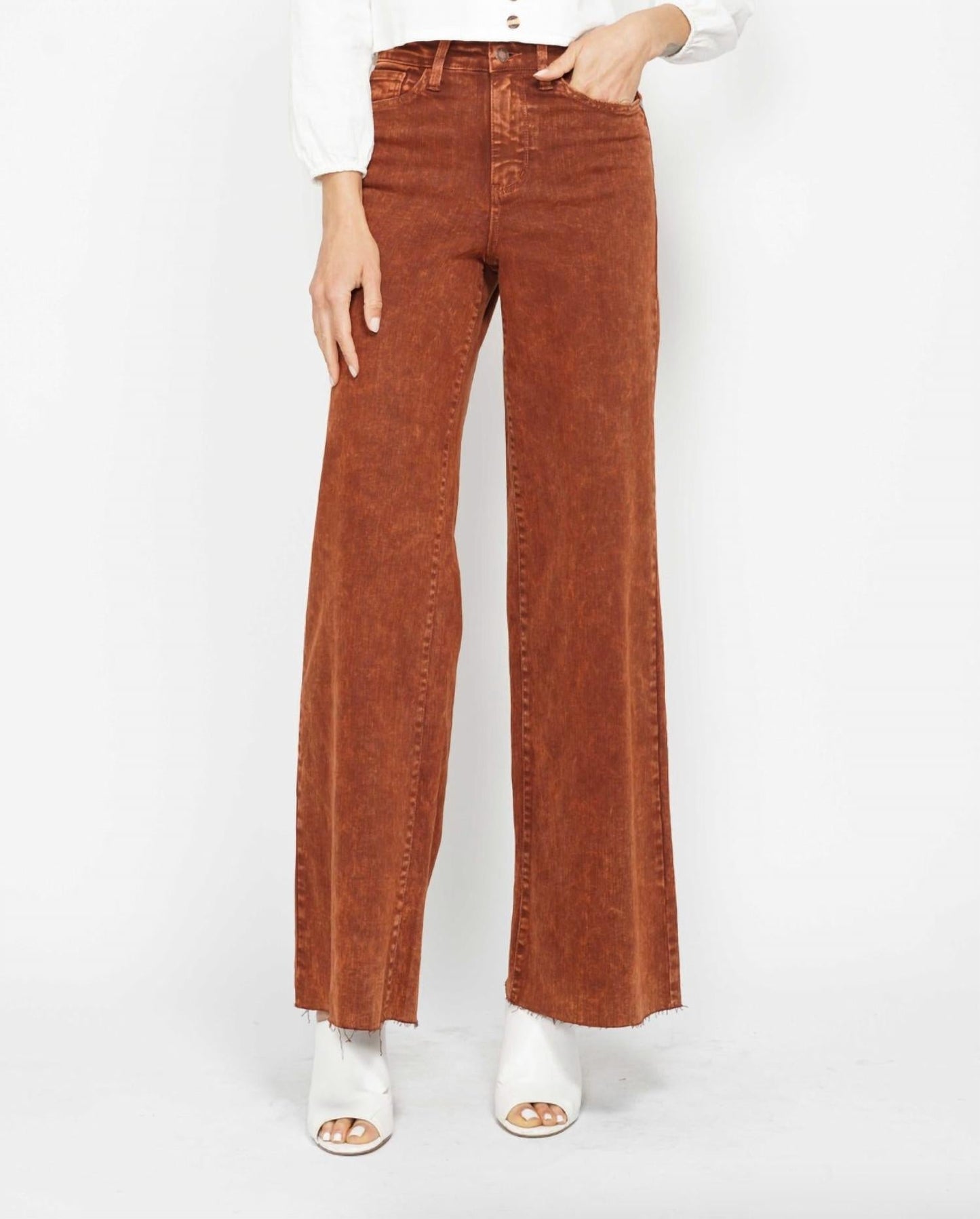 Judy Blue - Retro Wide Leg Jean