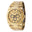 Goldtone/Goldtone