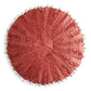 Exclusive Home Sky Pleated Decorative Pillow 16 Round