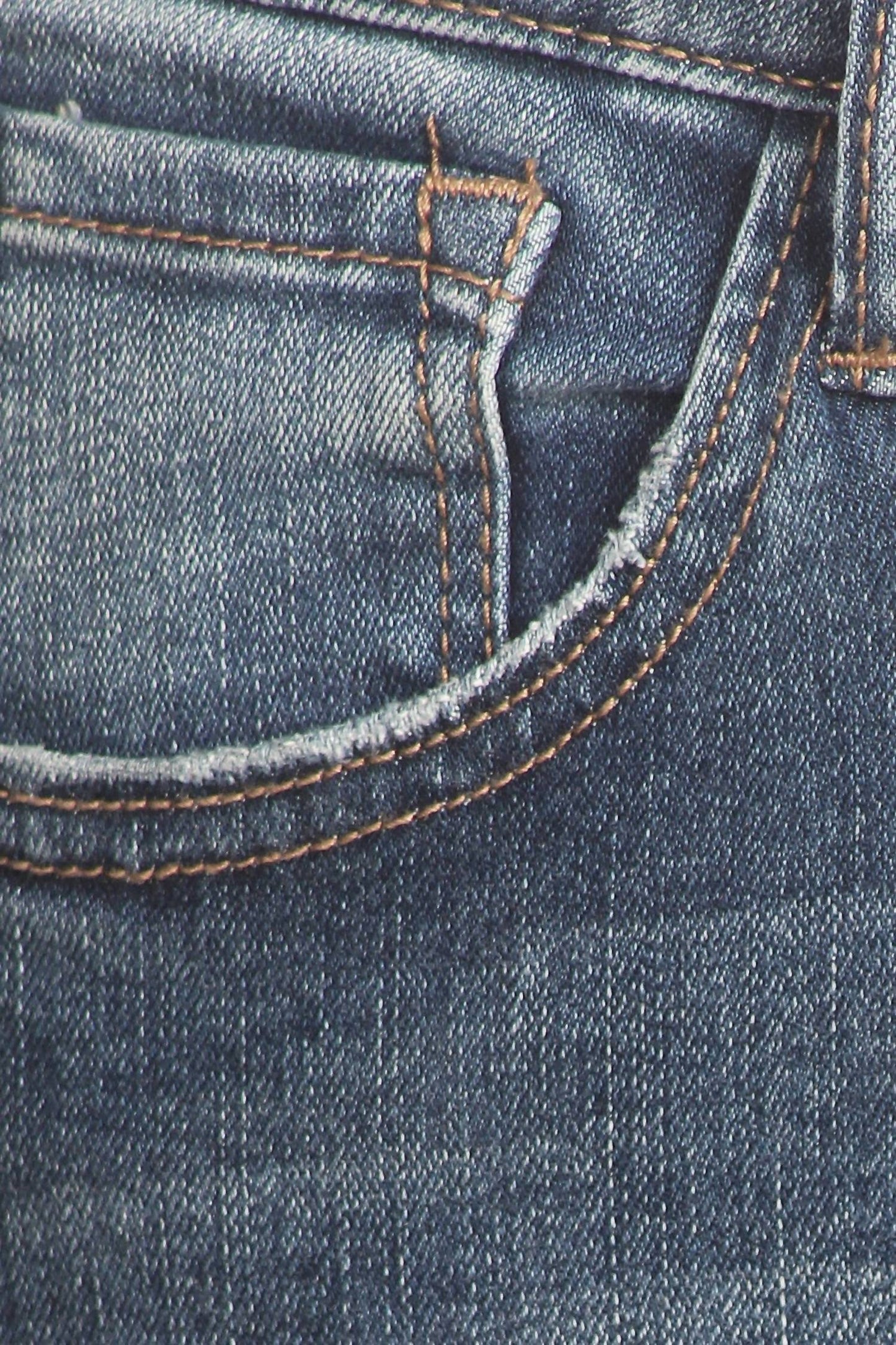 Colbert Clothing - Skinny Jeans - Plus