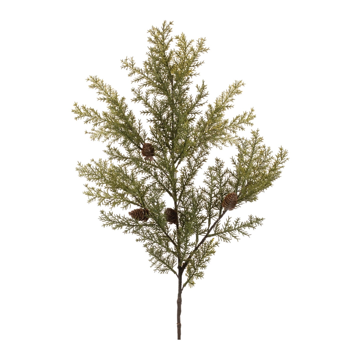 Cedar and pincone spray (set of 6)