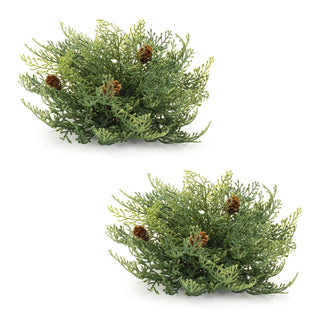Cedar Pinecone Half Orb (Set of 2)