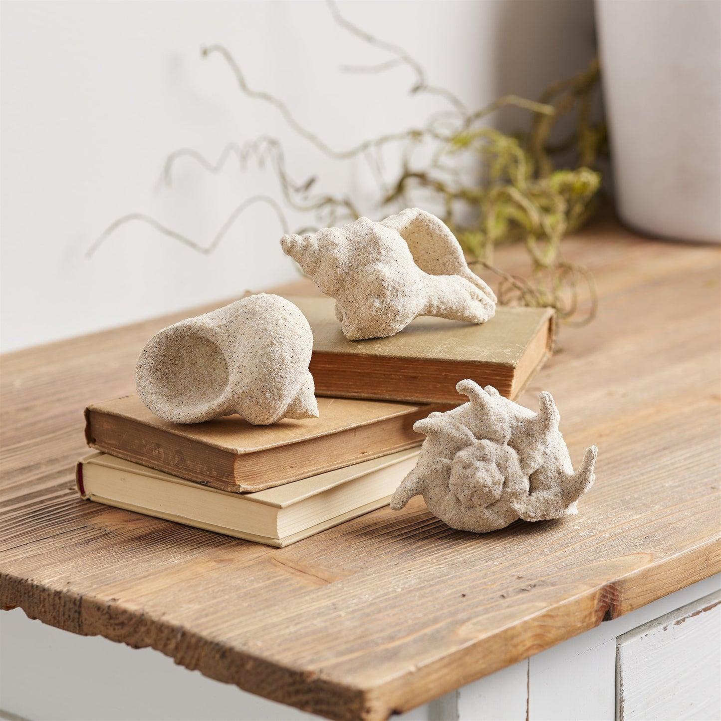 Sea shell filler décor (set of 12)
